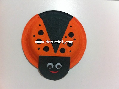www.tabirdot.com