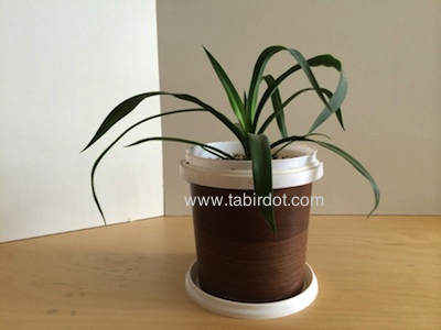www.tabirdot.com