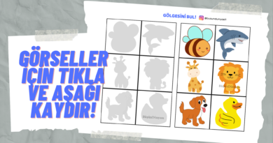 GÖLGESİNİ BUL HAYVANLAR 2